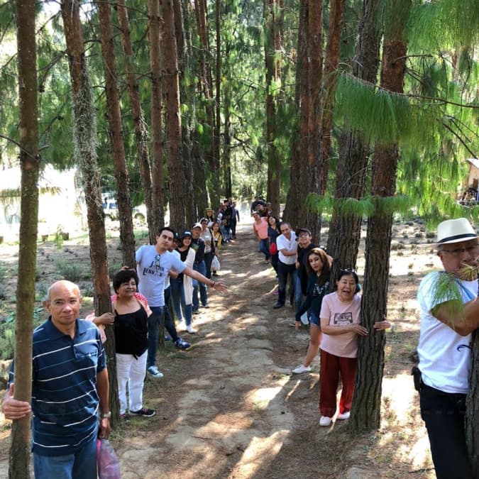 Viajes Turismo Zarco